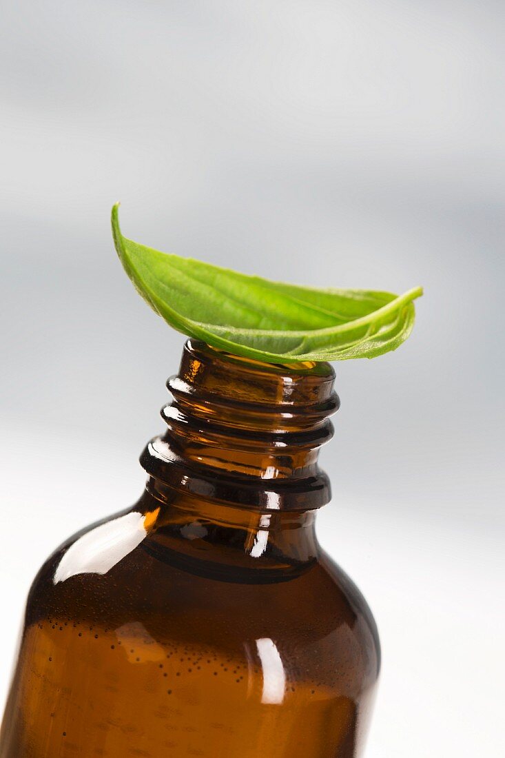 A brown bottle of basil oil and basil leaf