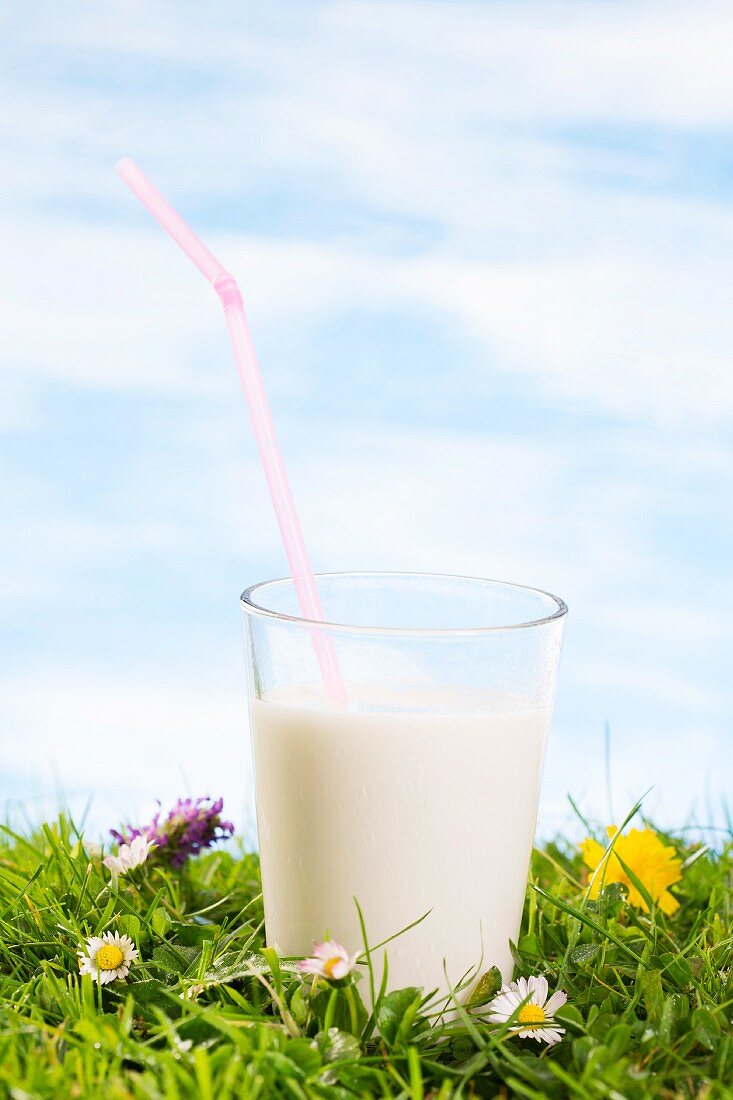 Milch im Glas auf blühender Wiese