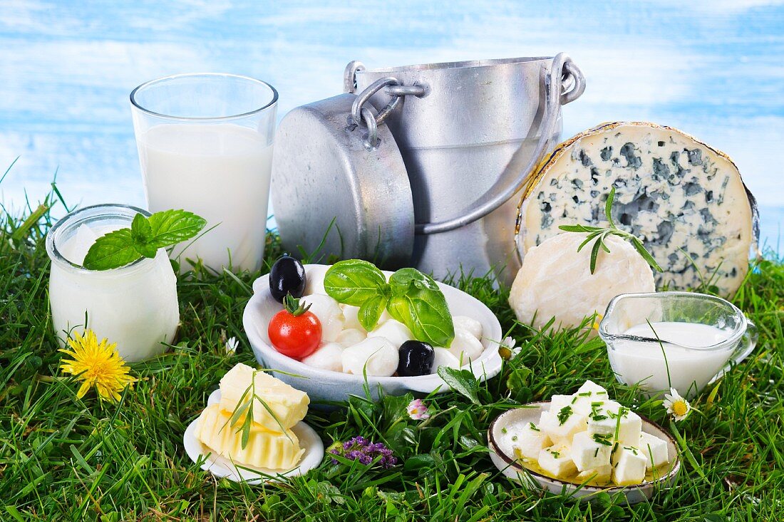 An arrangement of dairy products in a green field