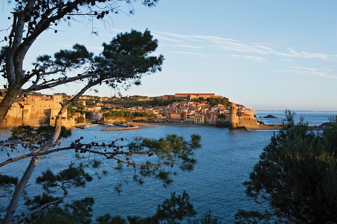 Blick auf die Stadt Collioure in Frankreich