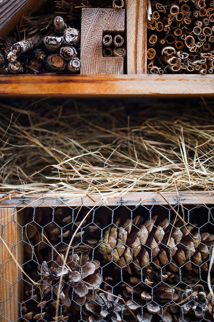 Insect hotel in garden (close-up)