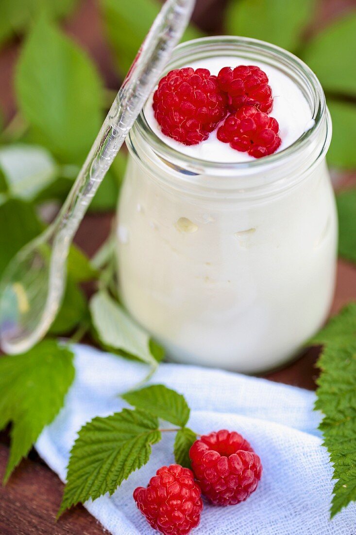 A glass of sheep's milk yogurt with raspberries on a garden table