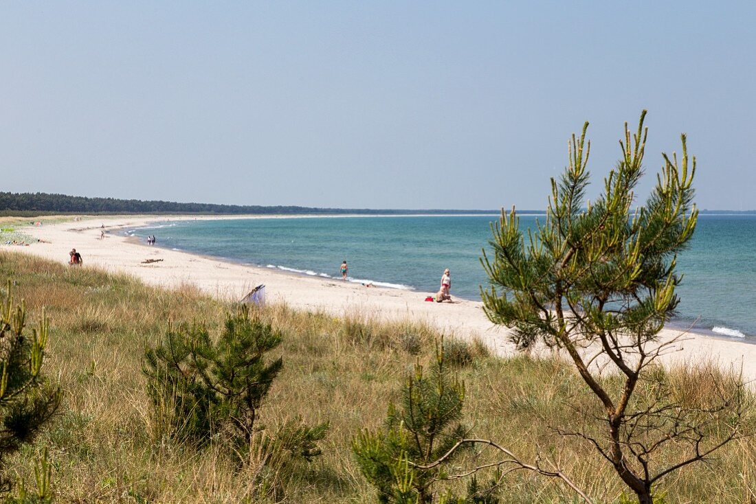The beach at Schaabe – spit on the Baltic Sea island of Rügen