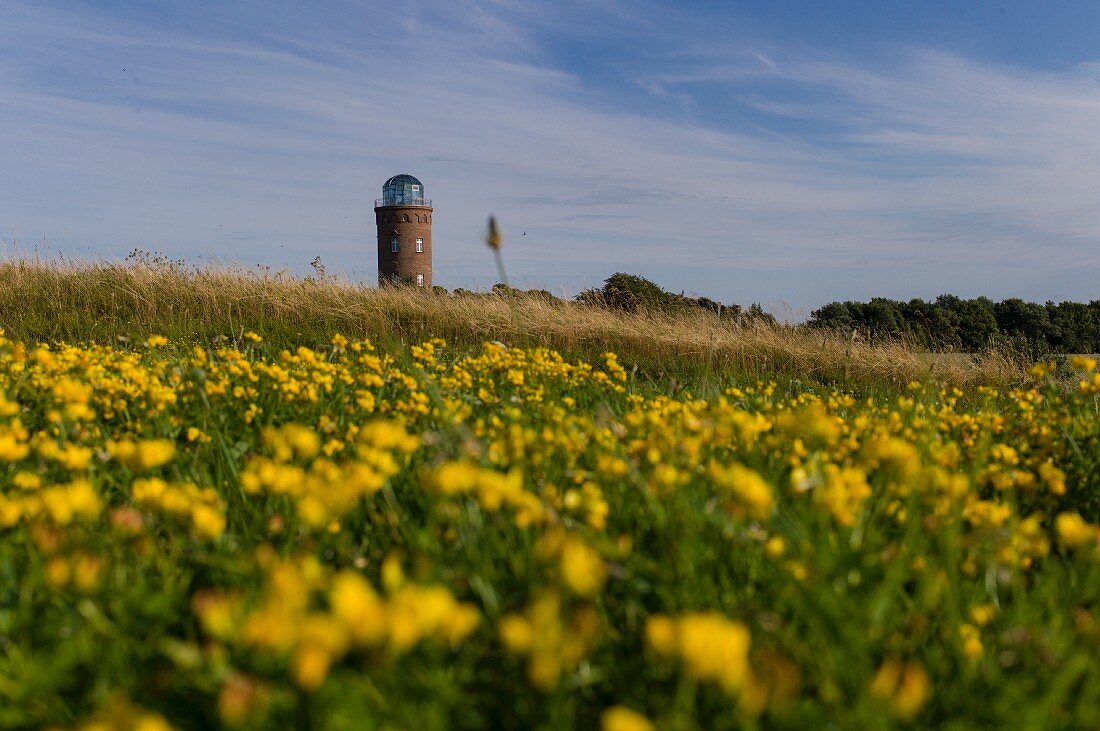 The protected landscape of Cape Arkona on the island of Rügen