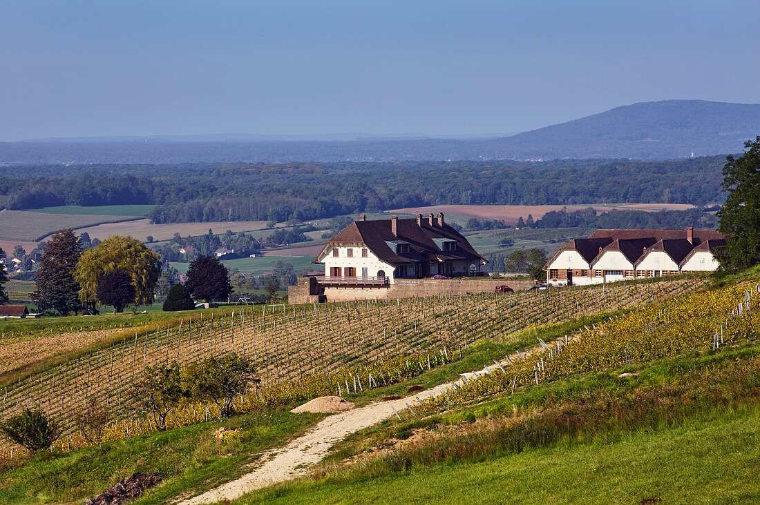 Weingut und Weinberge der Domaine de la Pinte (Arbois, Jura, Frankreich)