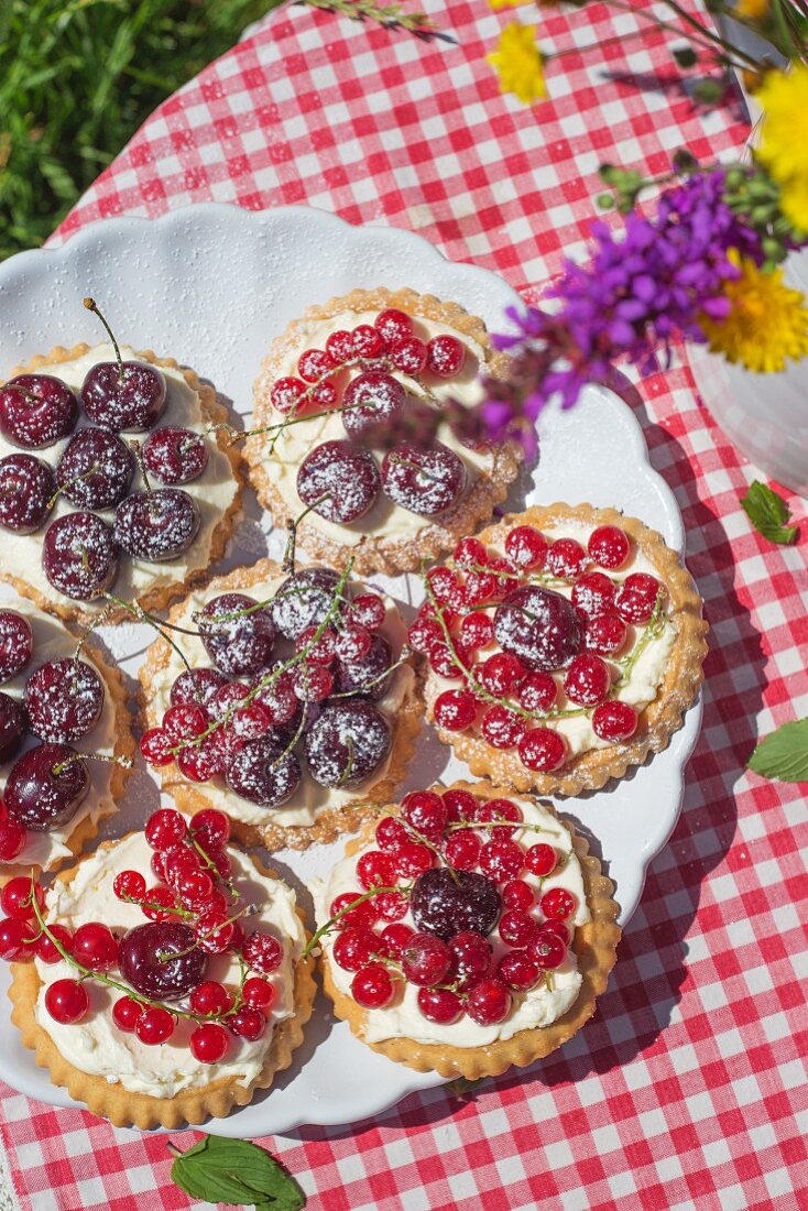 Tartlets with white chocolate quark cream and fresh cherries on a plate on a table outside laid with a checked tablecloth