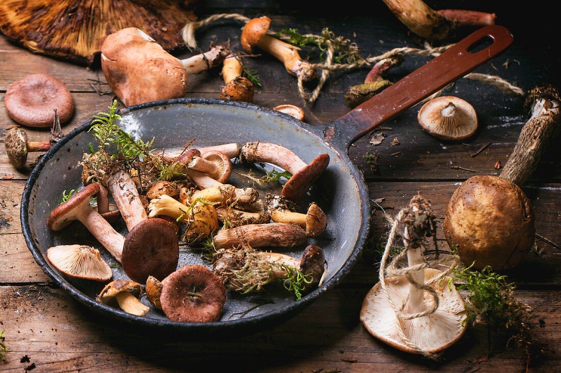 Fresh wild mushrooms in an old pan on a wooden table