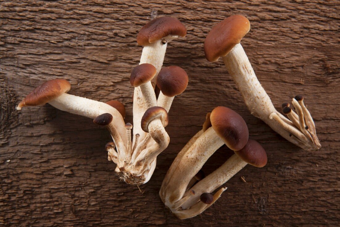 Pholiota mushrooms on a rustic wooden surface