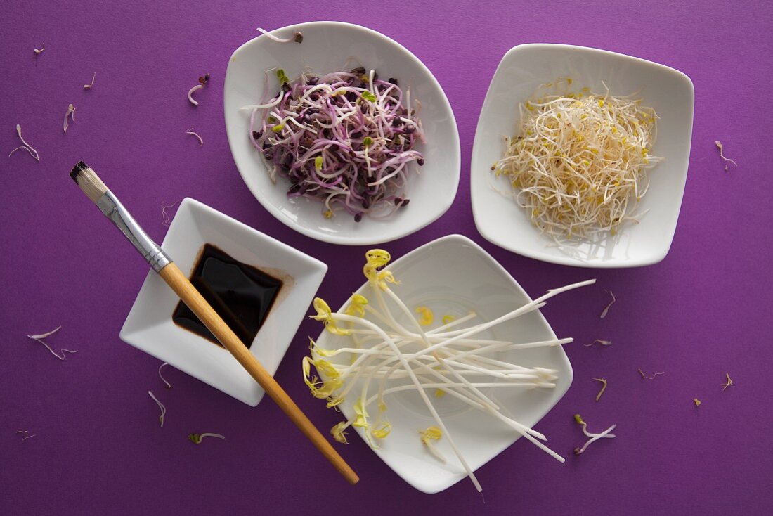 Various types of bean sprouts in white bowls
