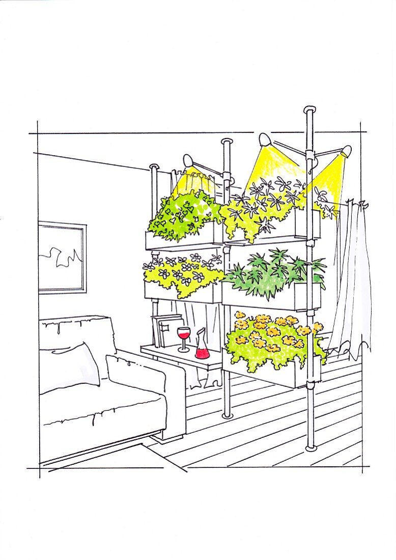 Bepflanzter Raumteiler mit Zimmerpflanzen