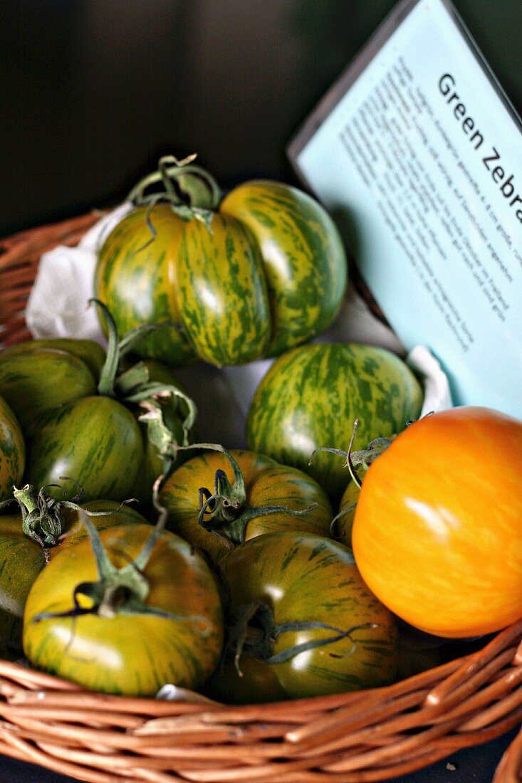 Tomaten der Sorte Green Zebra in einem Korb