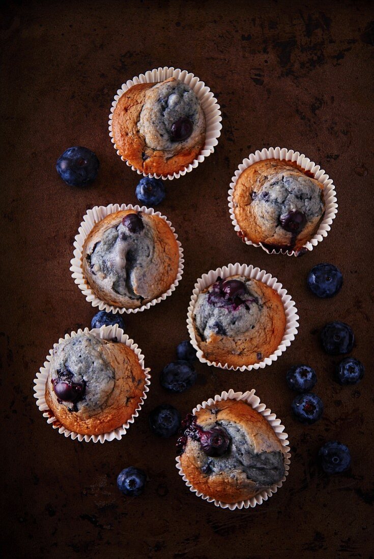 Blaubeermuffins in weißen Muffinförmchen