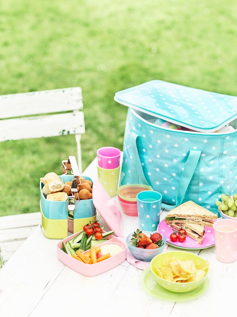 Picknicktasche, Zubehör und kleine Gerichte