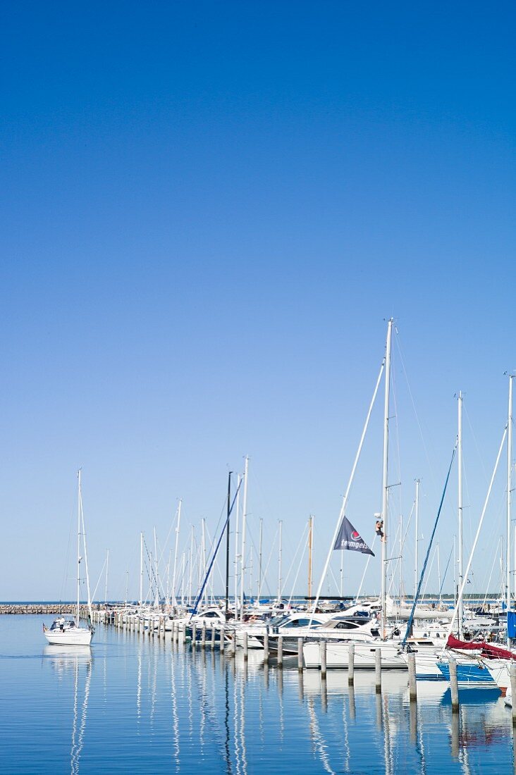 Segelboote im Hafen Warnemünde, Ortsteil von Rostock, Mecklenburger Bucht