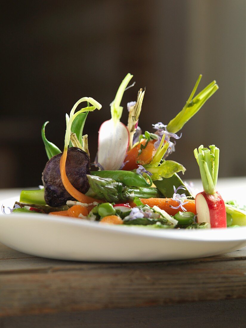 Vegetable salad with asparagus, carrots and radishes