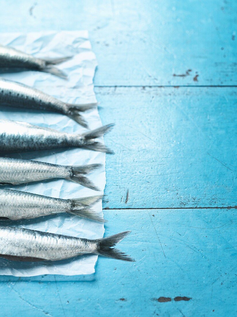 Fresh mackerel on parchment paper