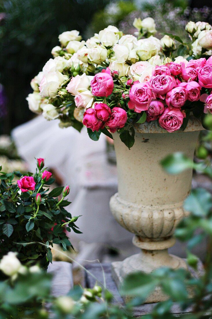 Spray roses in stone urn