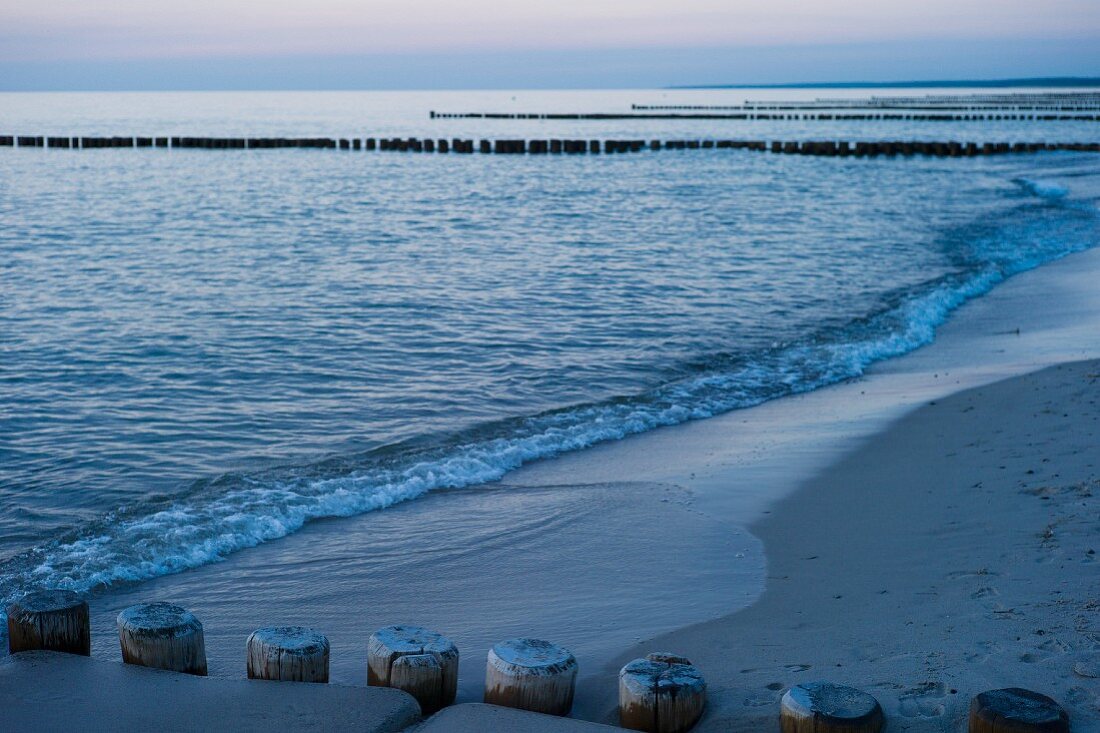 Breakwaters on the beach at Ahrenshoop on the Baltic Sea by dusk