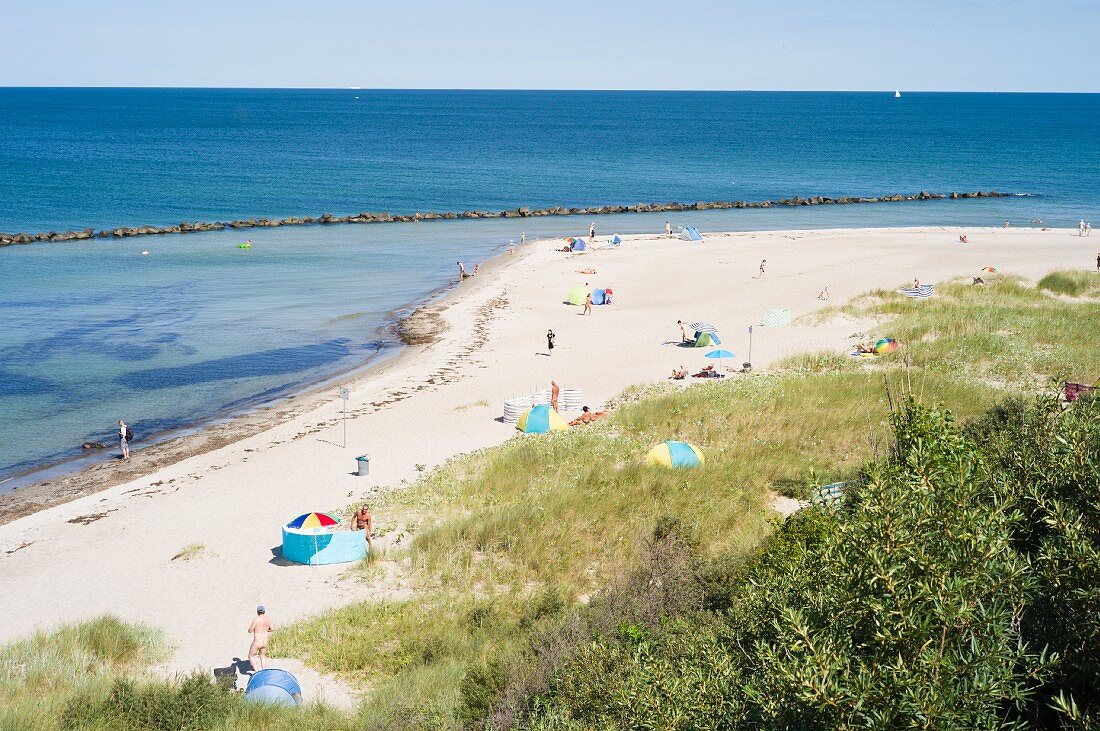 A view of the steep coast at the beach with sunshades and parasols near Ahrenshoop