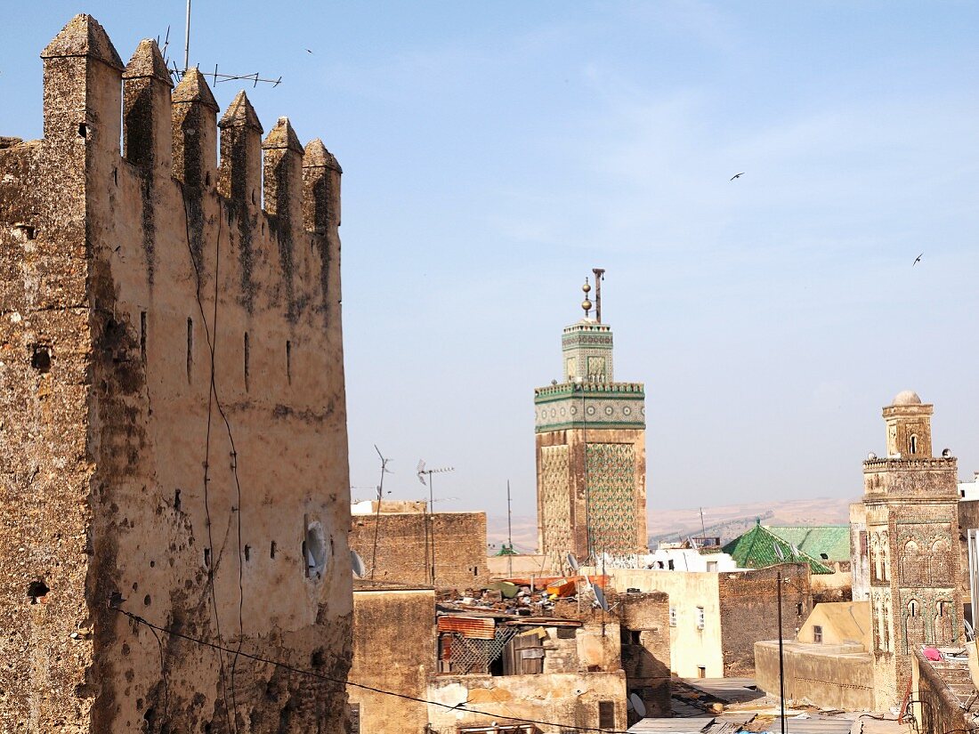 A view of Fez, the holy labyrinth, one of the four royal cities of Monacco