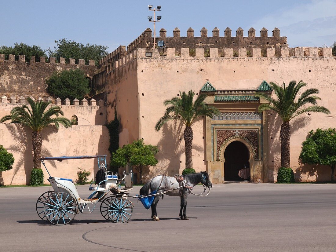 Kutsche zum König - vor dem Palast Seiner Majestät in Meknes, einer der 4 Königsstädte in Marokko
