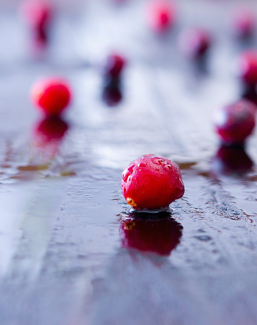 Cranberries mit Wassertropfen