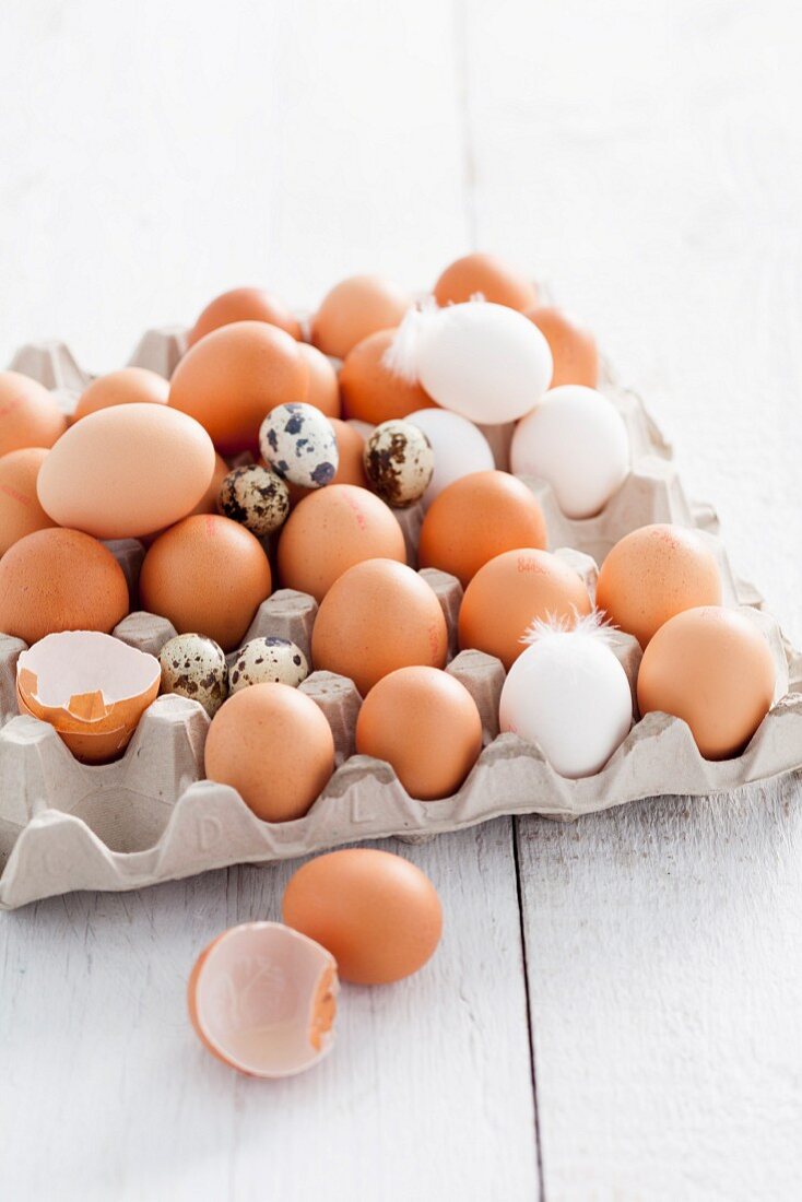 Hühnereier und Wachteleier im Eierkarton