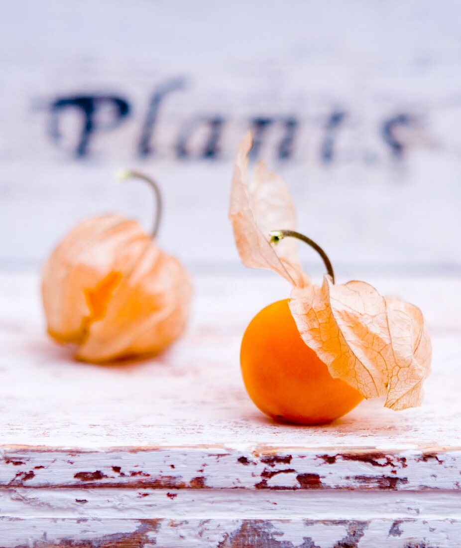 Physalis auf verwittertem Holzuntergrund