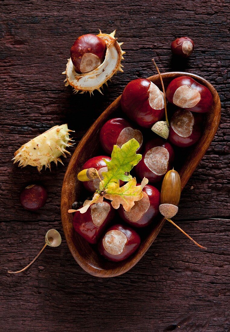 Bowl of Chestnuts; Acorns with Pitcher