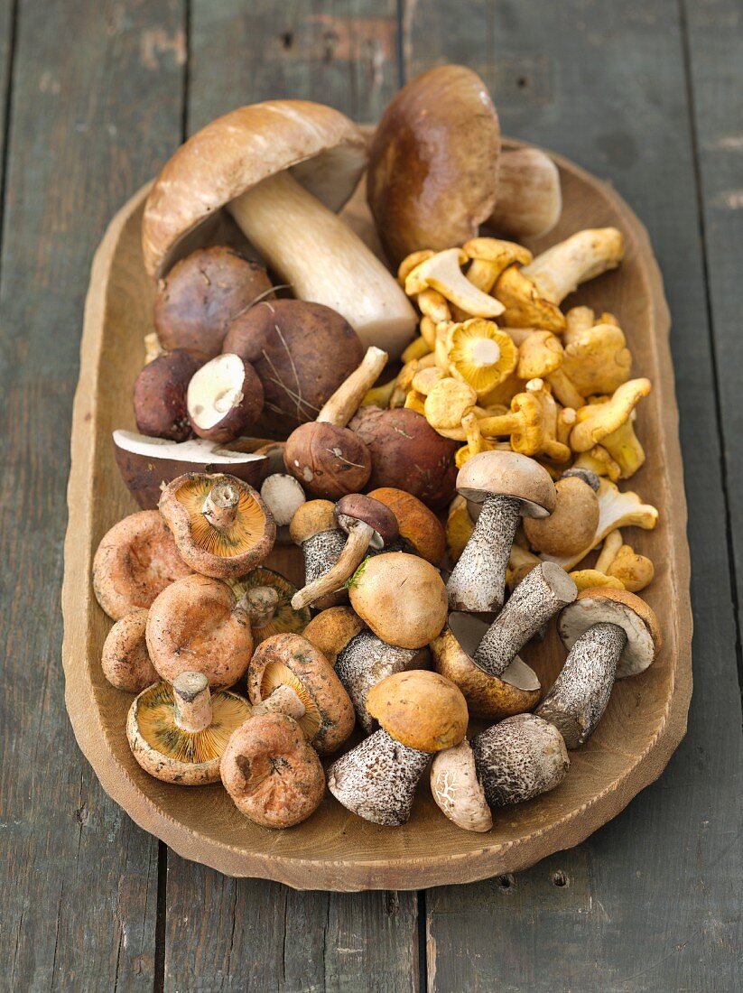 Fresh wild mushrooms in a brown dish on a rustic table
