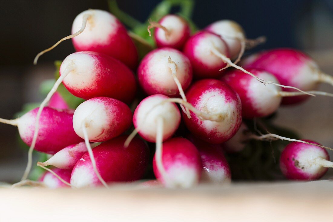 A bunch of radishes (close-up)
