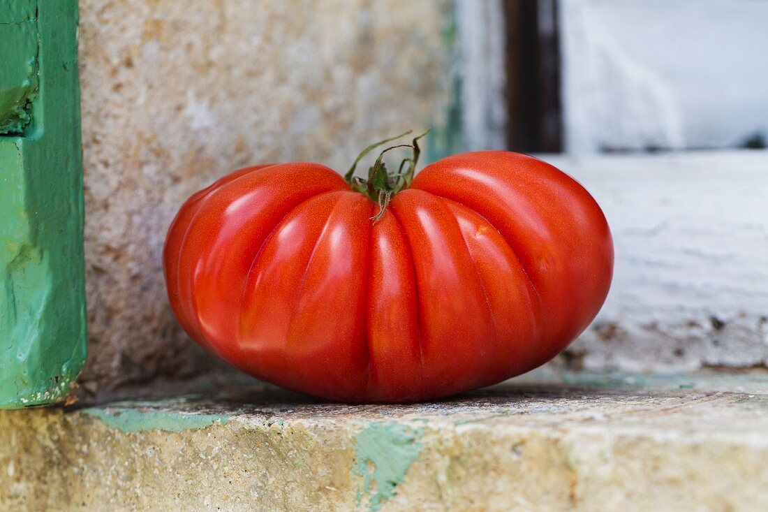 A large beefsteak tomato on a window ledge