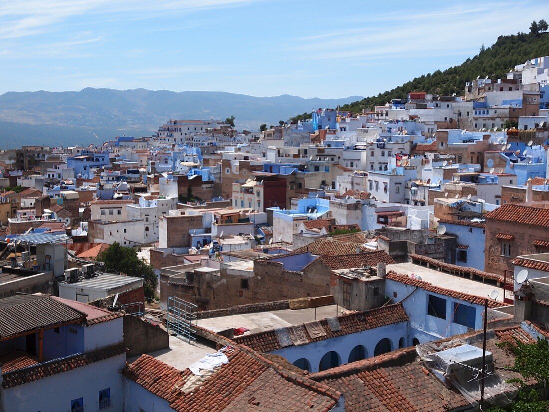 Blick über den Dächern von Chefchaouen, Marokko