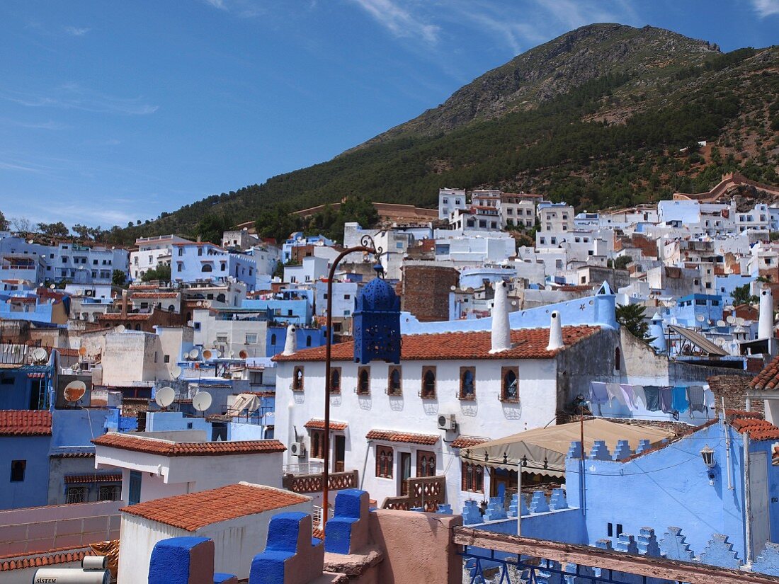 A view of the Medina of Chefchaouen, Rocco
