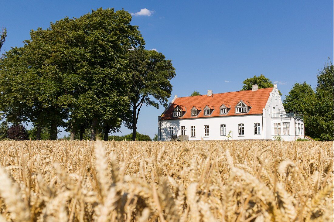 Gutshaus auf der Insel Poel, Wismarer Bucht in der Ostsee