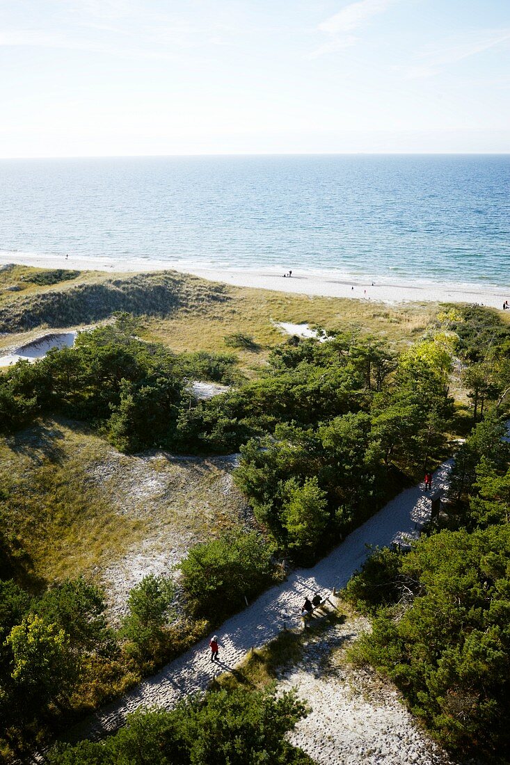 A view of the Baltic Sea from the Darss lighthouse