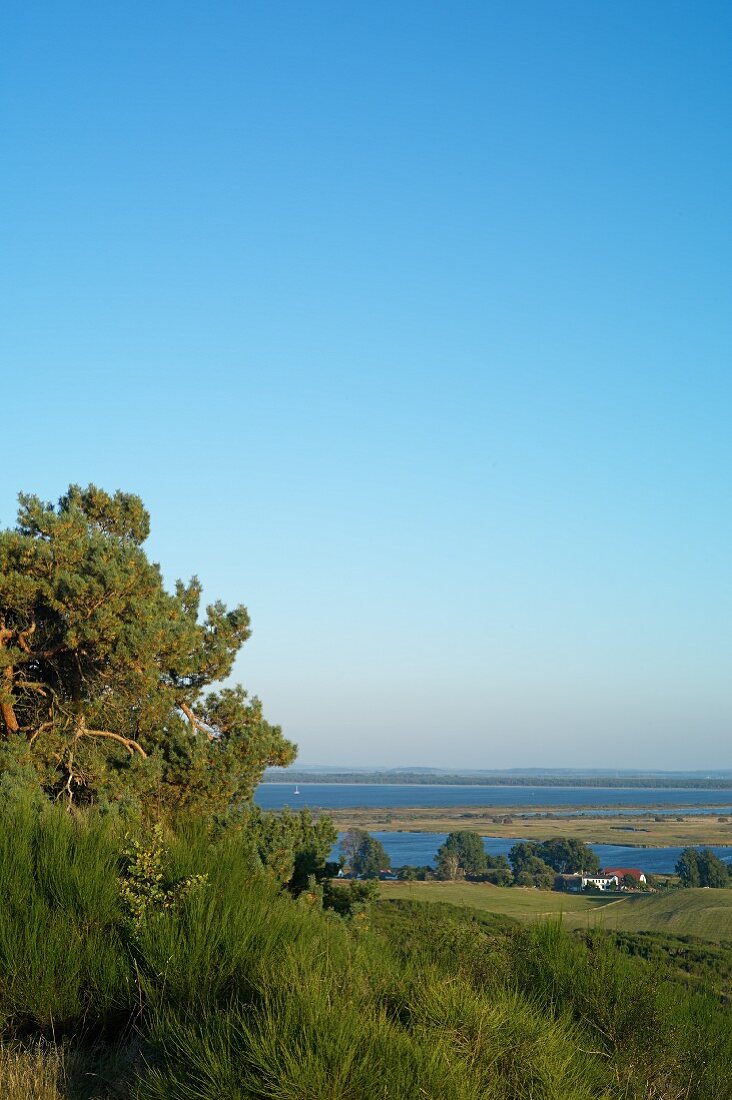 A view over Hiddensee looking east
