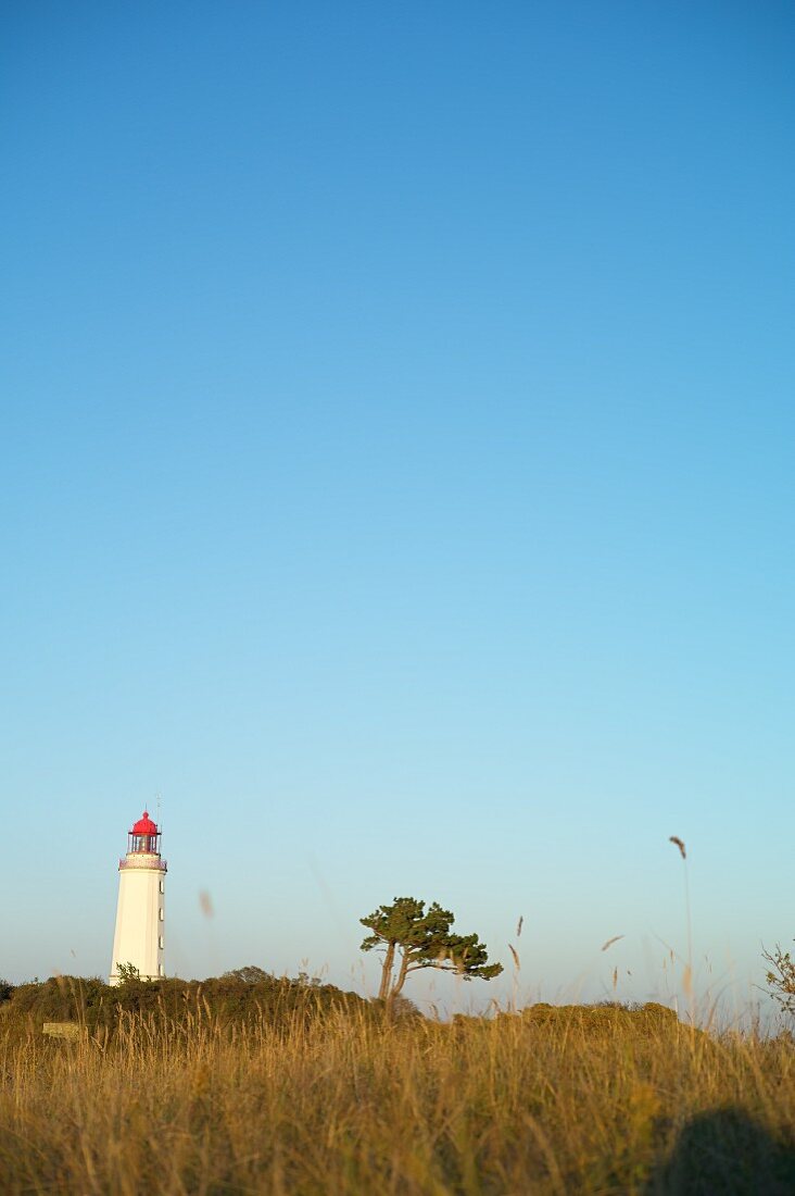 Lighthouse on Dornbusch, Vorpommern Boddenlandschaft