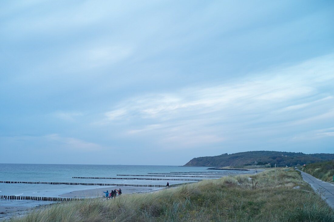 A view over the Vitte Bay with wooden stakes at dusk, Vorpommern Boddenlandschaft