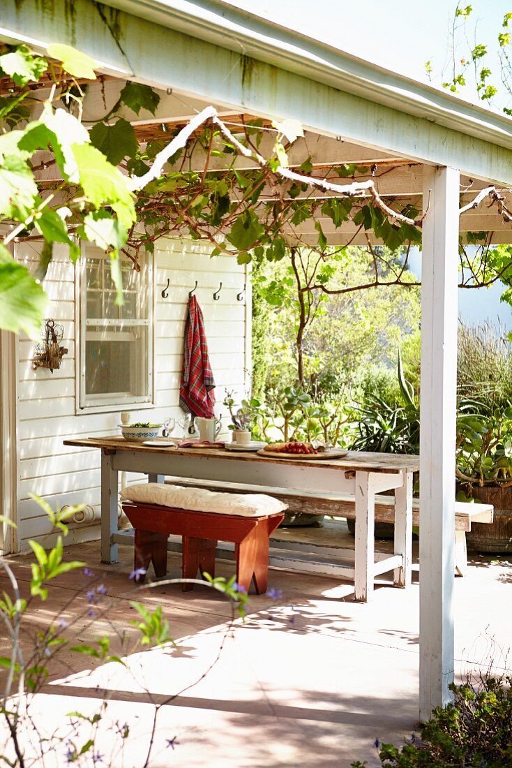 View from garden to sunny terrace with climber-covered pergola, rustic bench and white table outside white wooden house