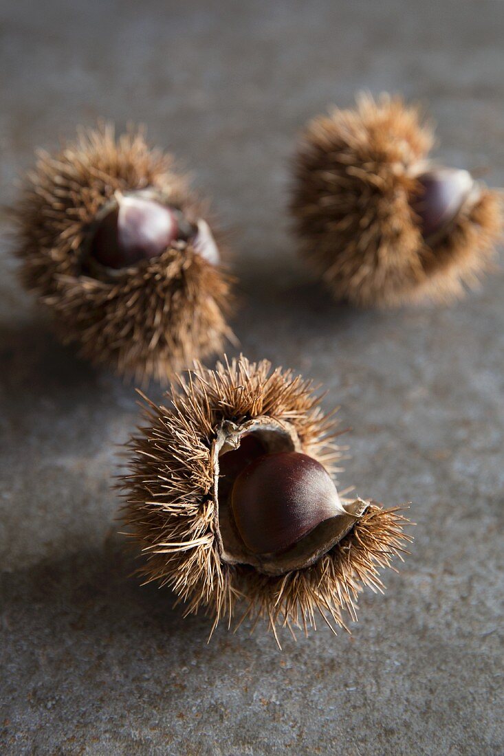 Three sweet chestnuts