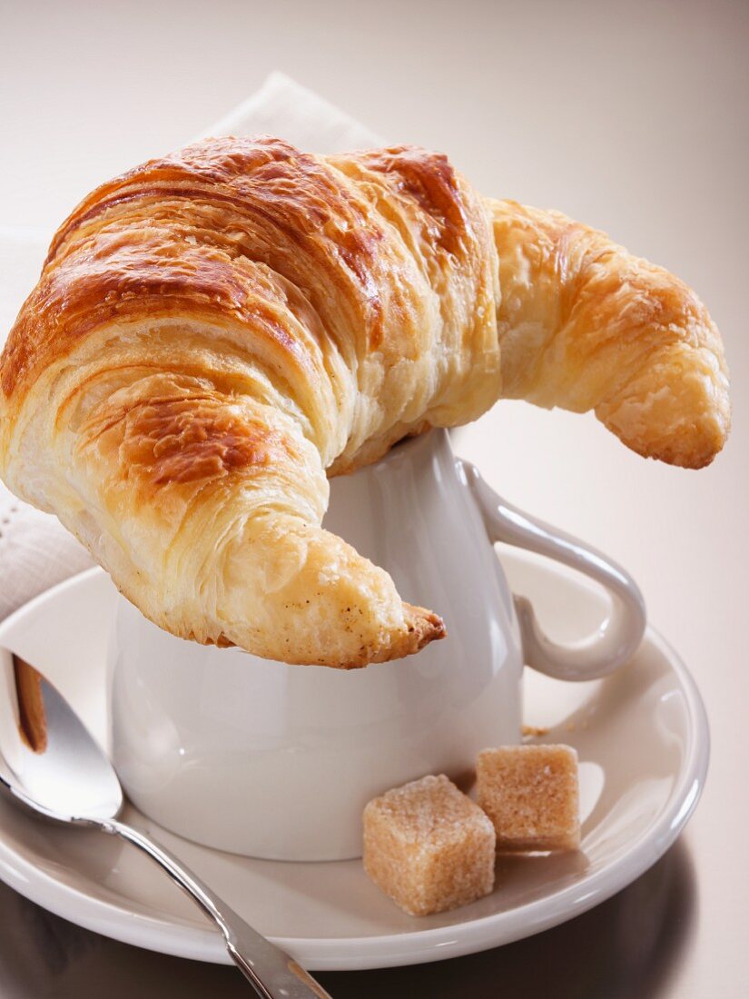 A croissant on top of a coffee cup