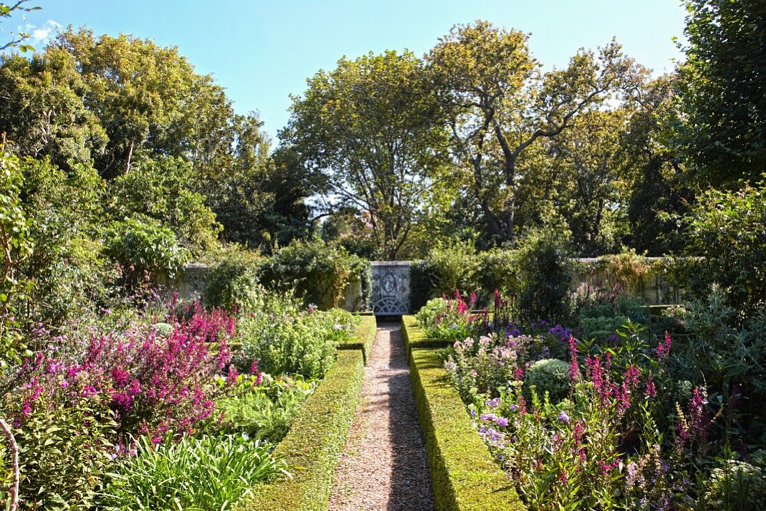 Narrow gravel path between blooming flowerbeds edged by low hedges in summery garden