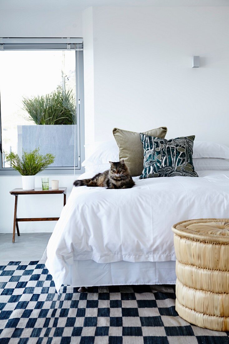 Cat on bed with white bed linen and black and white chequered rug in bedroom