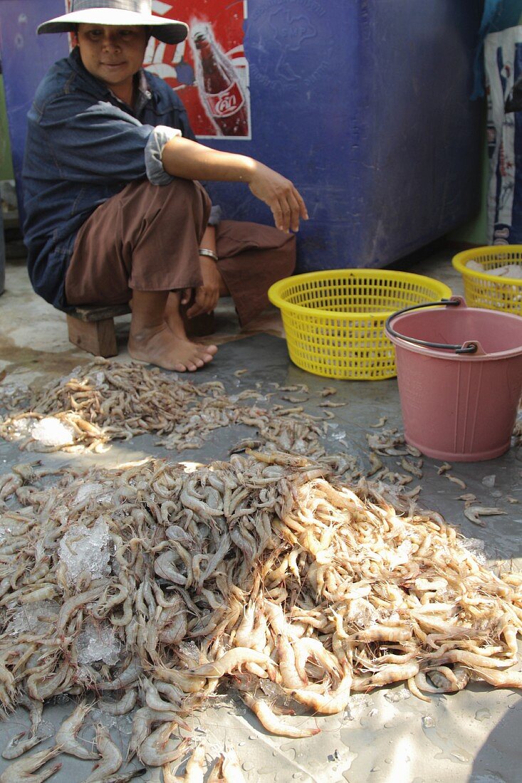 Prawns at a market, Thailand