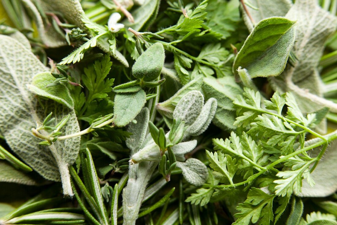 Various fresh herbs (full frame)