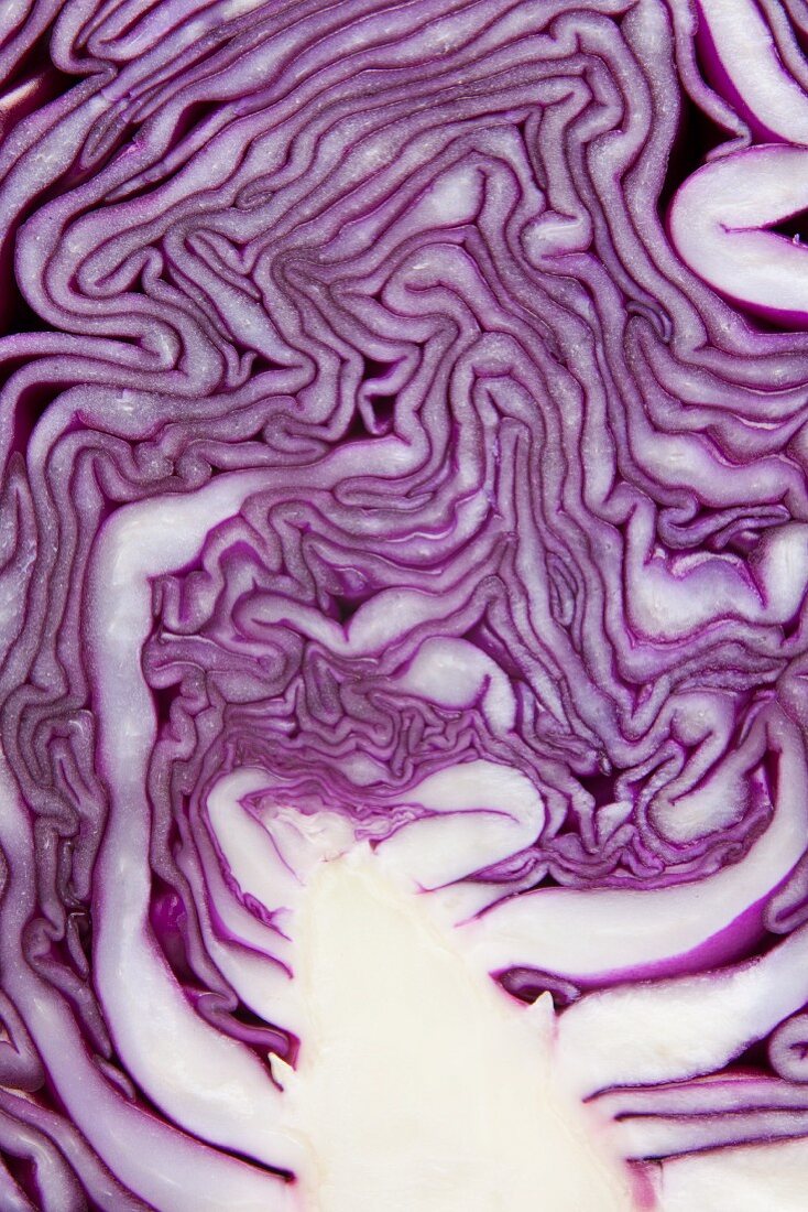 Red cabbage (detail)