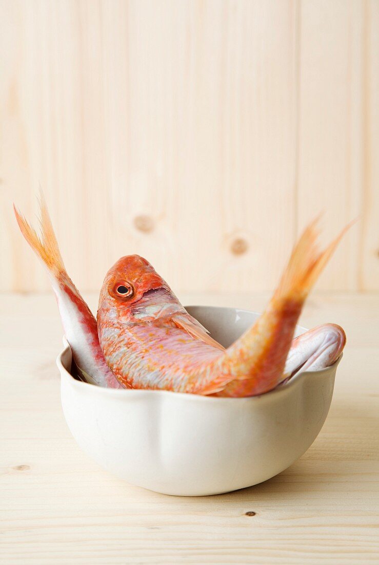 Fresh red mullet in a bowl