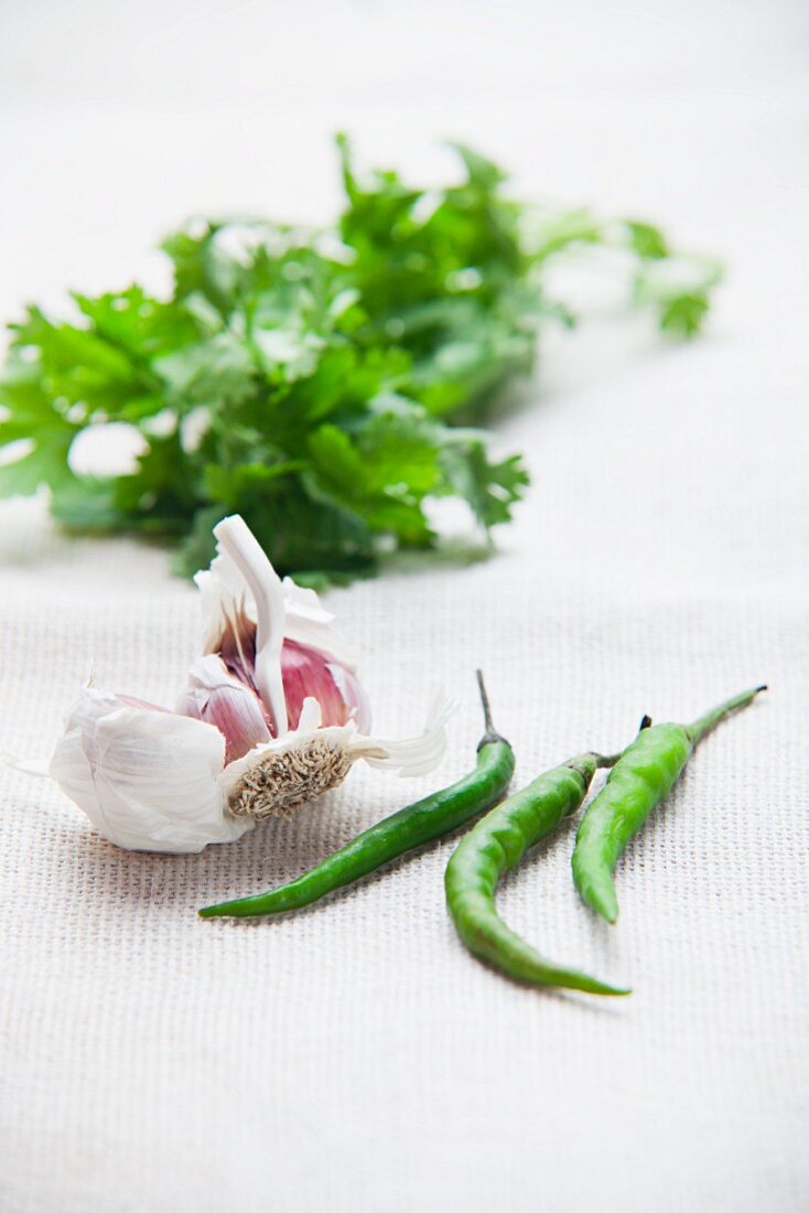 Garlic, chilli peppers and coriander