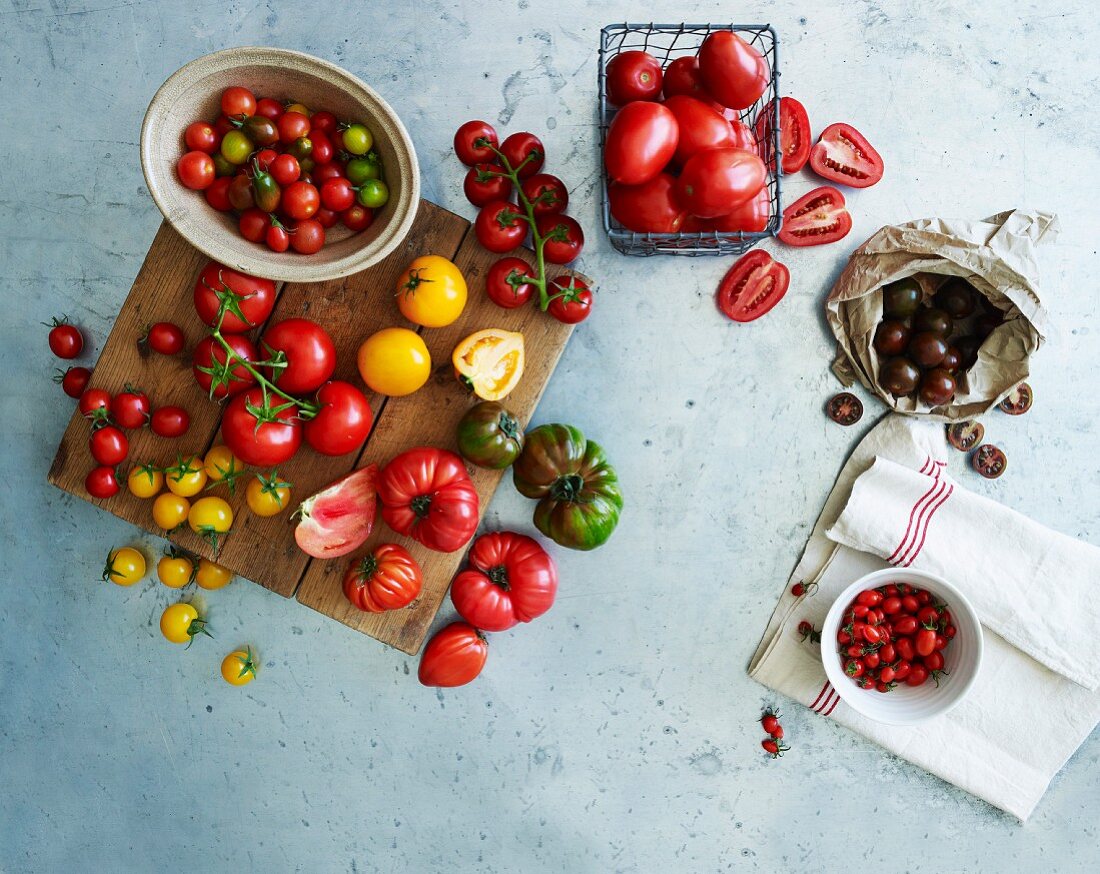 Still life with different kinds of tomatoes